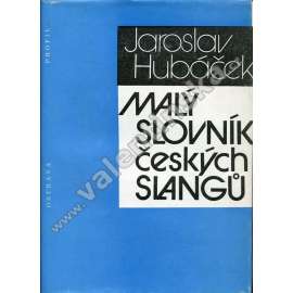 Malý slovník českých slangů (slang, slangy, jazykověda)