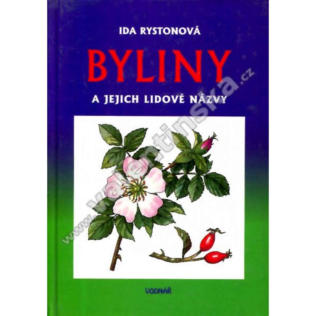 Byliny a jejich lidové názvy