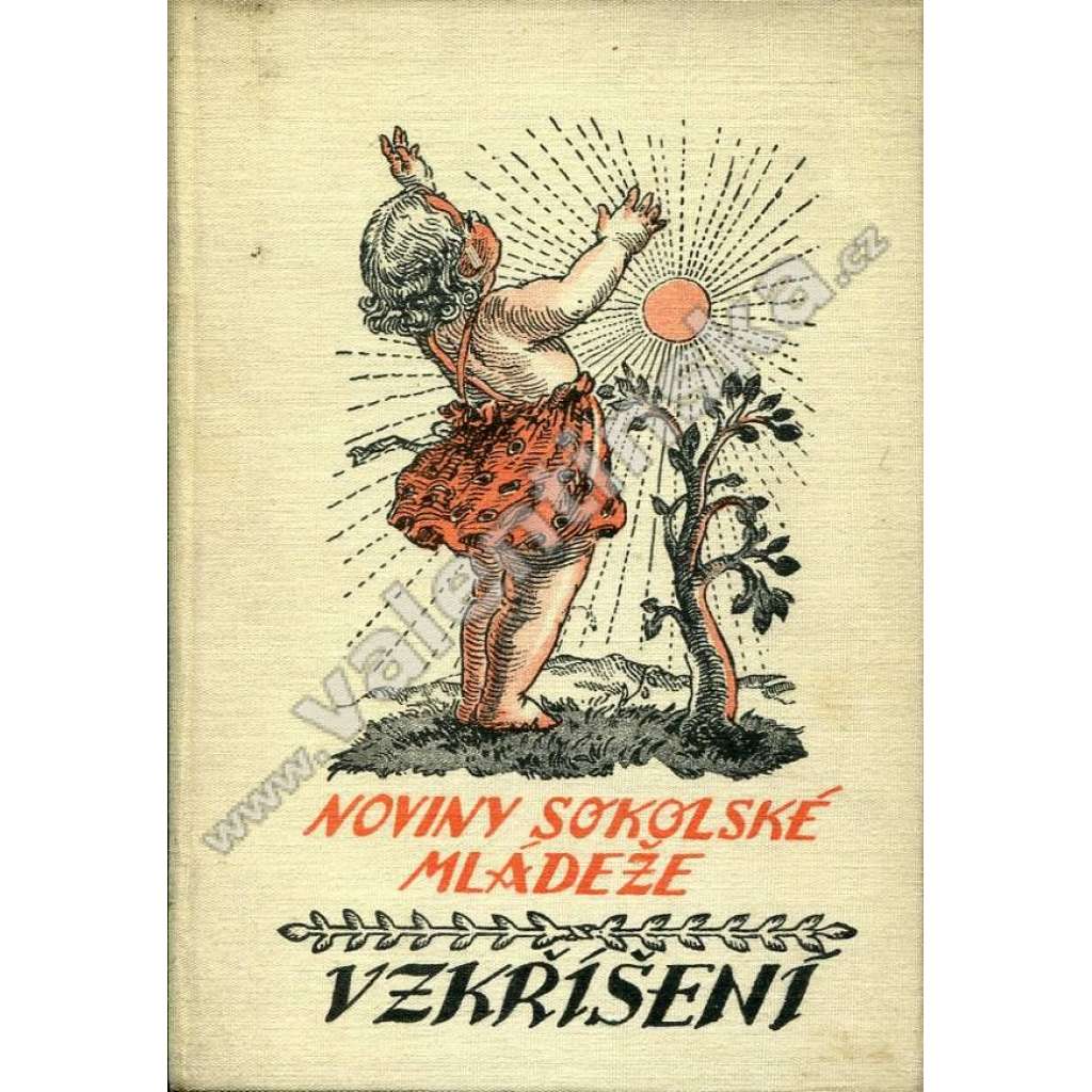 Vzkříšení: Noviny sokolské mládeže, Sokol, r. 18. (1932)