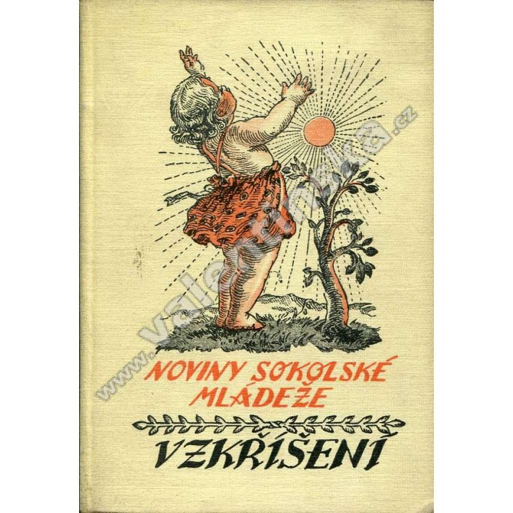 Vzkříšení: Noviny sokolské mládeže, Sokol,, r. XIX. (1933)