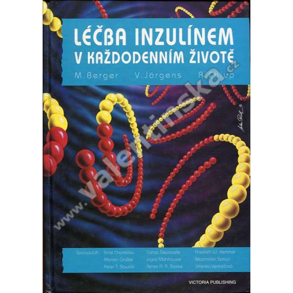 Léčba inzulínem v každodenním životě