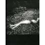 Josef Sudek (Výběr fotografií z celoživotního díla (edice Fotografie - Osobnosti - fotograf) PODPIS KIRSCHNER