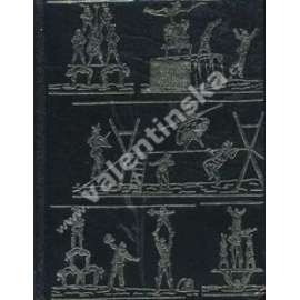 Romance pro křídlovku