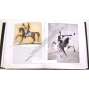 František Tichý [velká monografie Gallery 2002 - český malíř a grafik]