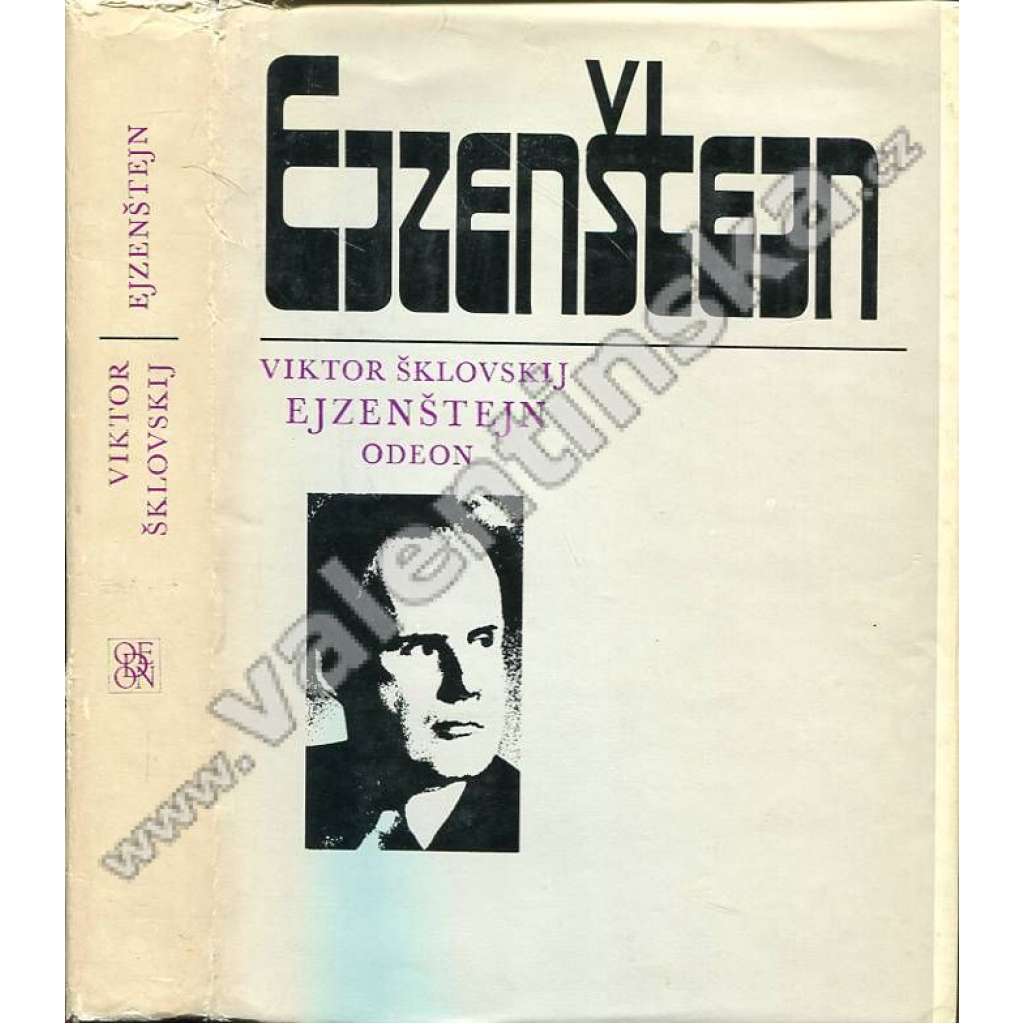 Sergej Ejzenštejn [ruský filmový režisér, sovětský film, filmová avantgarda]
