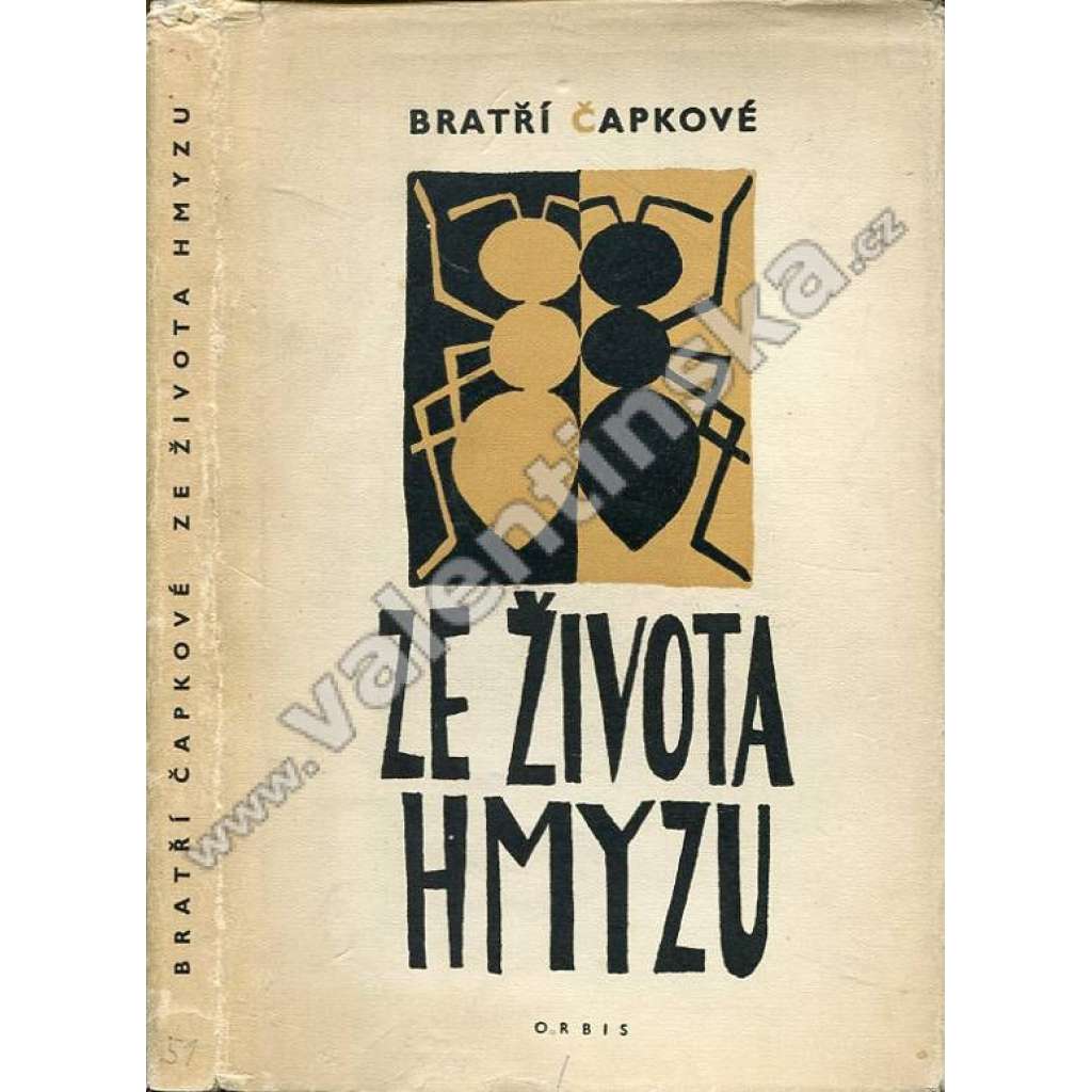 Ze života hmyzu