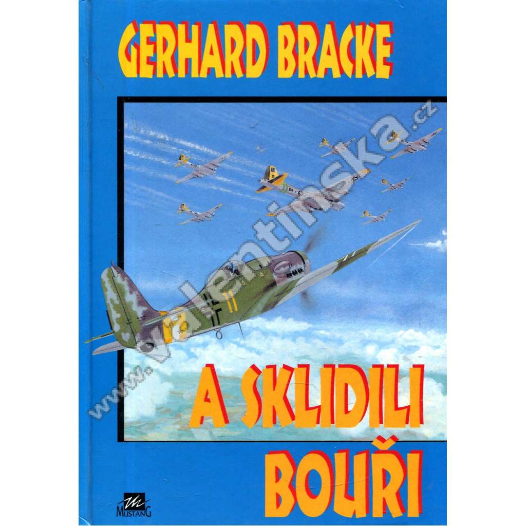 A sklidili bouři /luftwafe, 2. sv. válka, letadla)