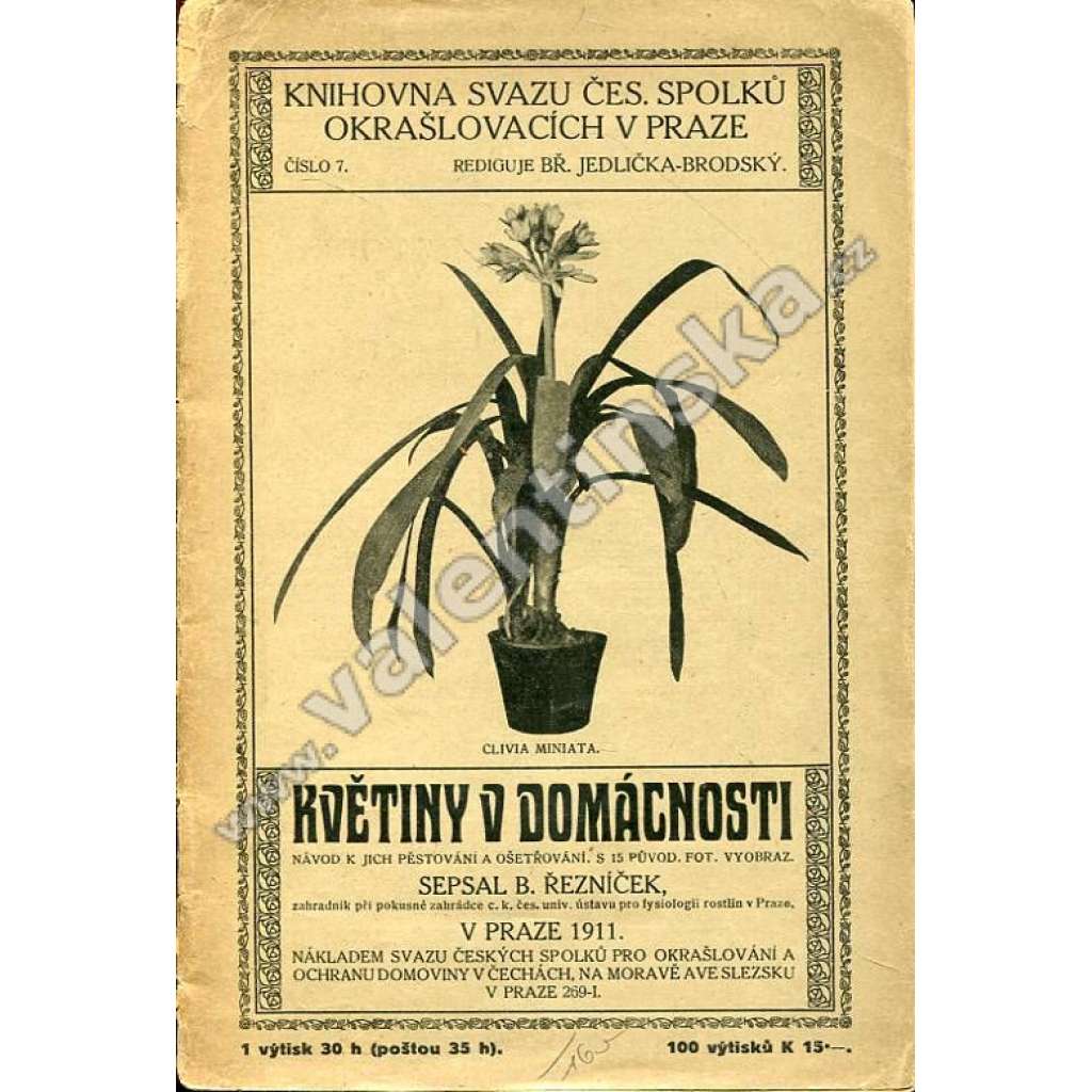 Květiny v domácnosti