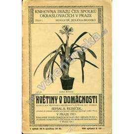 Květiny v domácnosti
