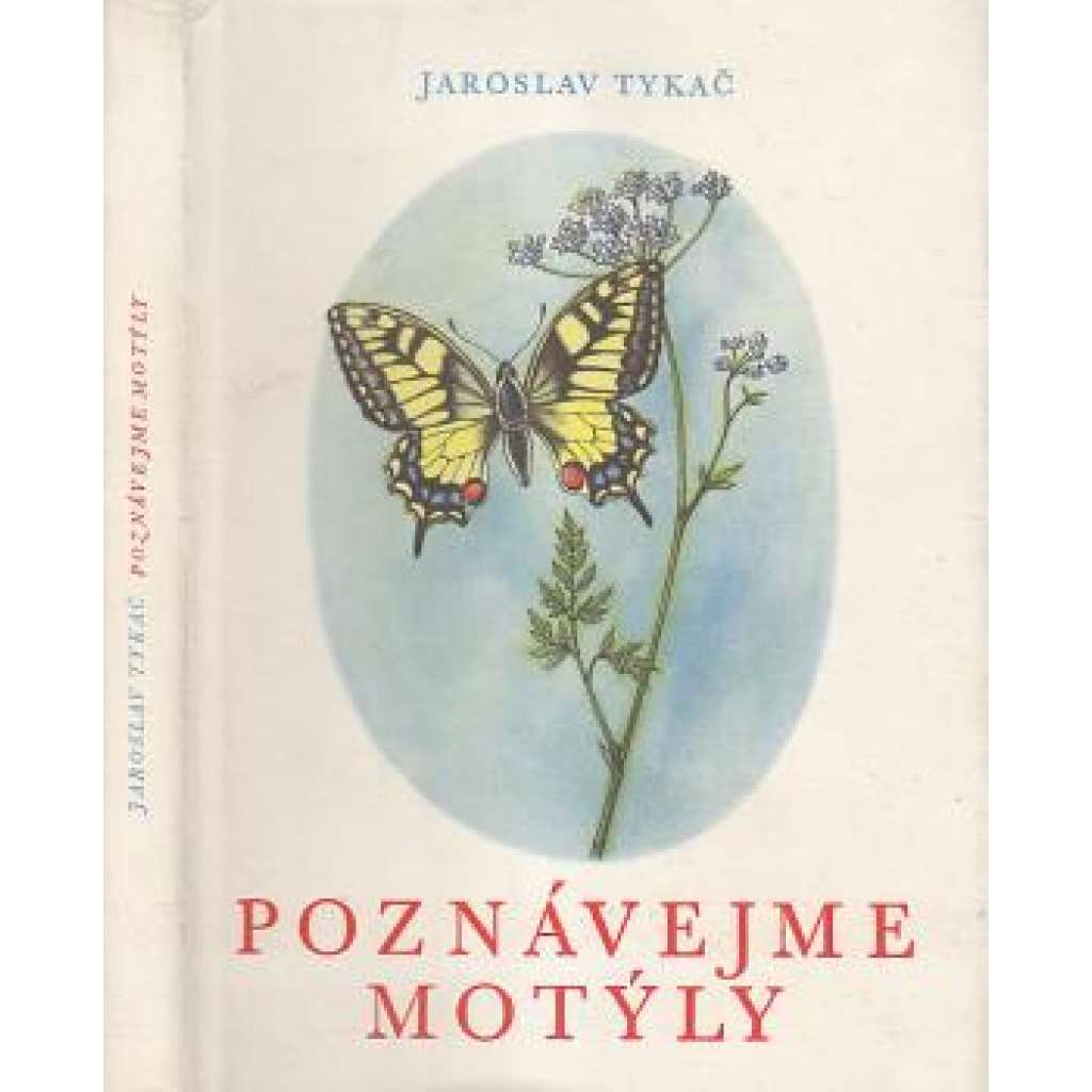 Poznávejme motýly(motýli)