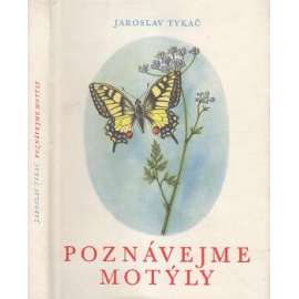 Poznávejme motýly(motýli)