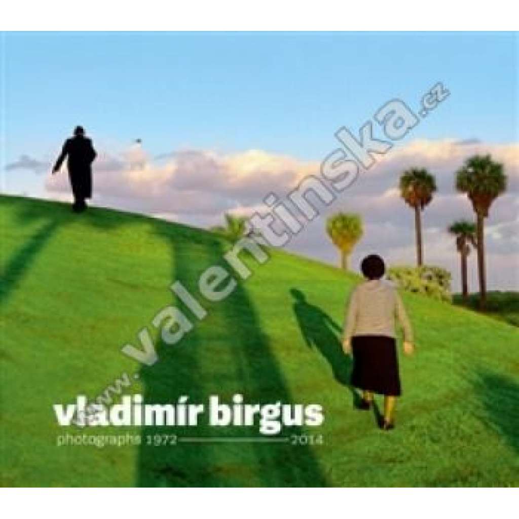 Vladimír Birgus.  Photographs 1972-2014    HOL.