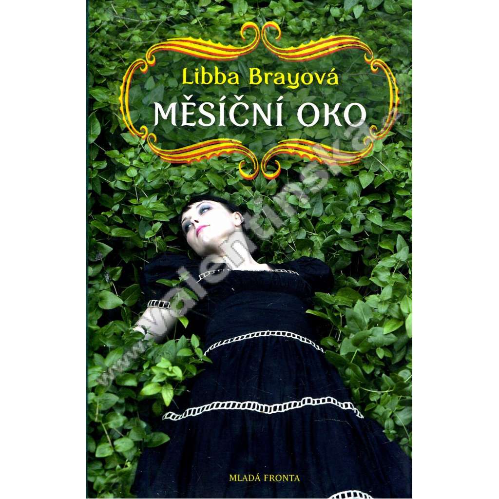 Měsíční oko