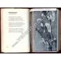 Almanach Kmene 1935 - 1936 (upravil Ladislav Sutnar, foto-obálka Jaromír Funke)