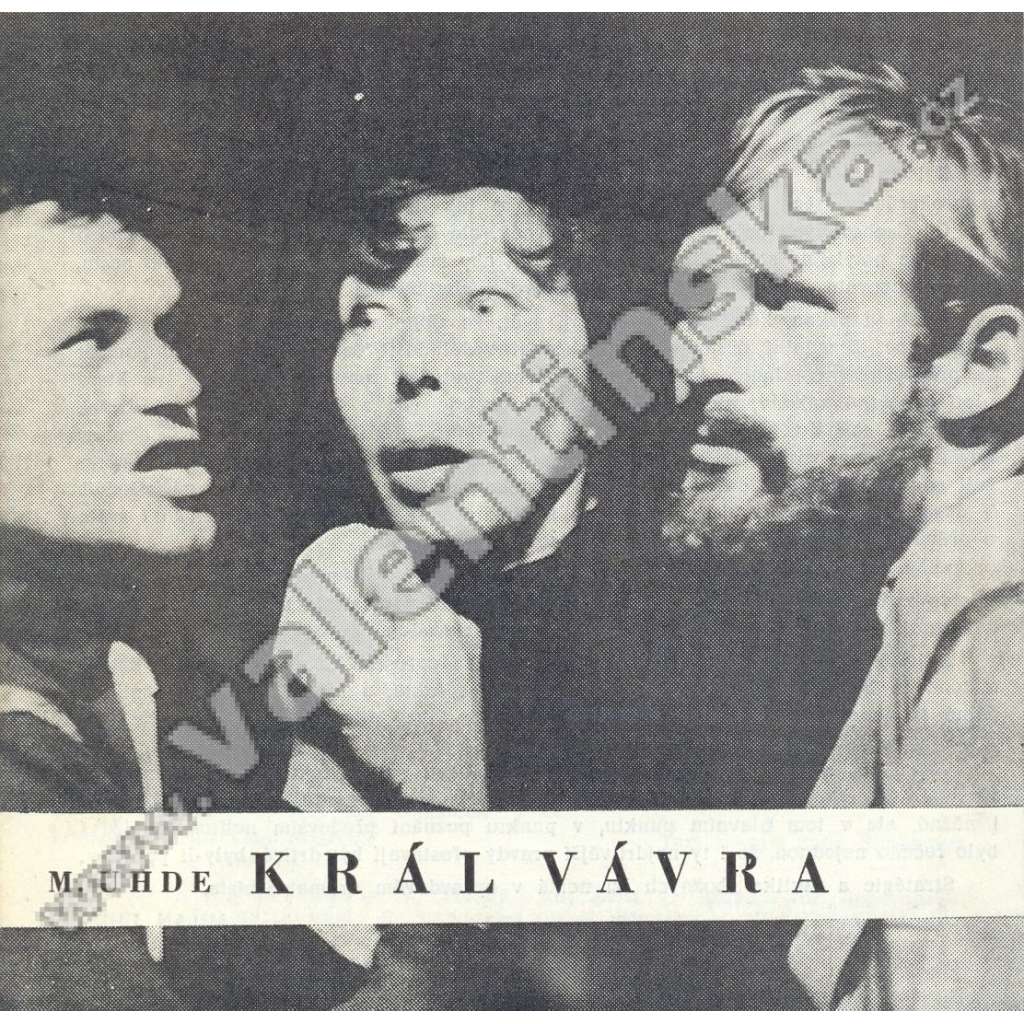 Král Vávra (divadelní program)