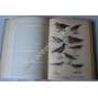 Velký přírodopis ptáků - KOMPLET 2 svazky - PTÁCI - PŘÍRODOPIS S OBRAZY (zoologie, slovník, fauna; ilustrace chromolitografie)