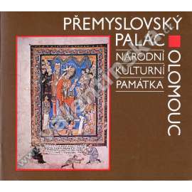 Přemyslovský palác v Olomouci [Olomouc, románská architektura, Přemyslovci, hrad, raný středověk] katalog expozice