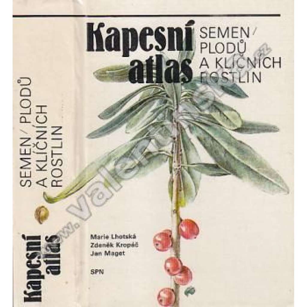Kapesní atlas semen, plodů a klíčních rostlin