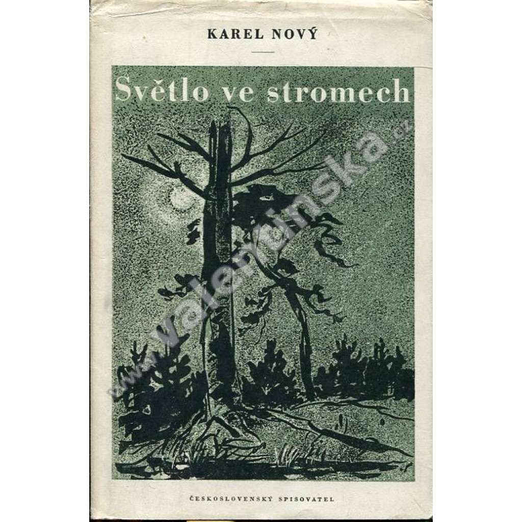 Světlo ve stromech