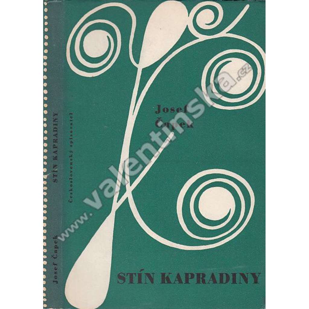 Stín kapradiny