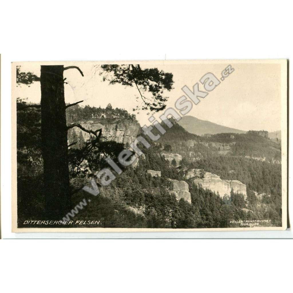 Jetřichovice, Děčín