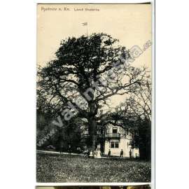 Rychnov nad Kněžnou, Lázně Studánka
