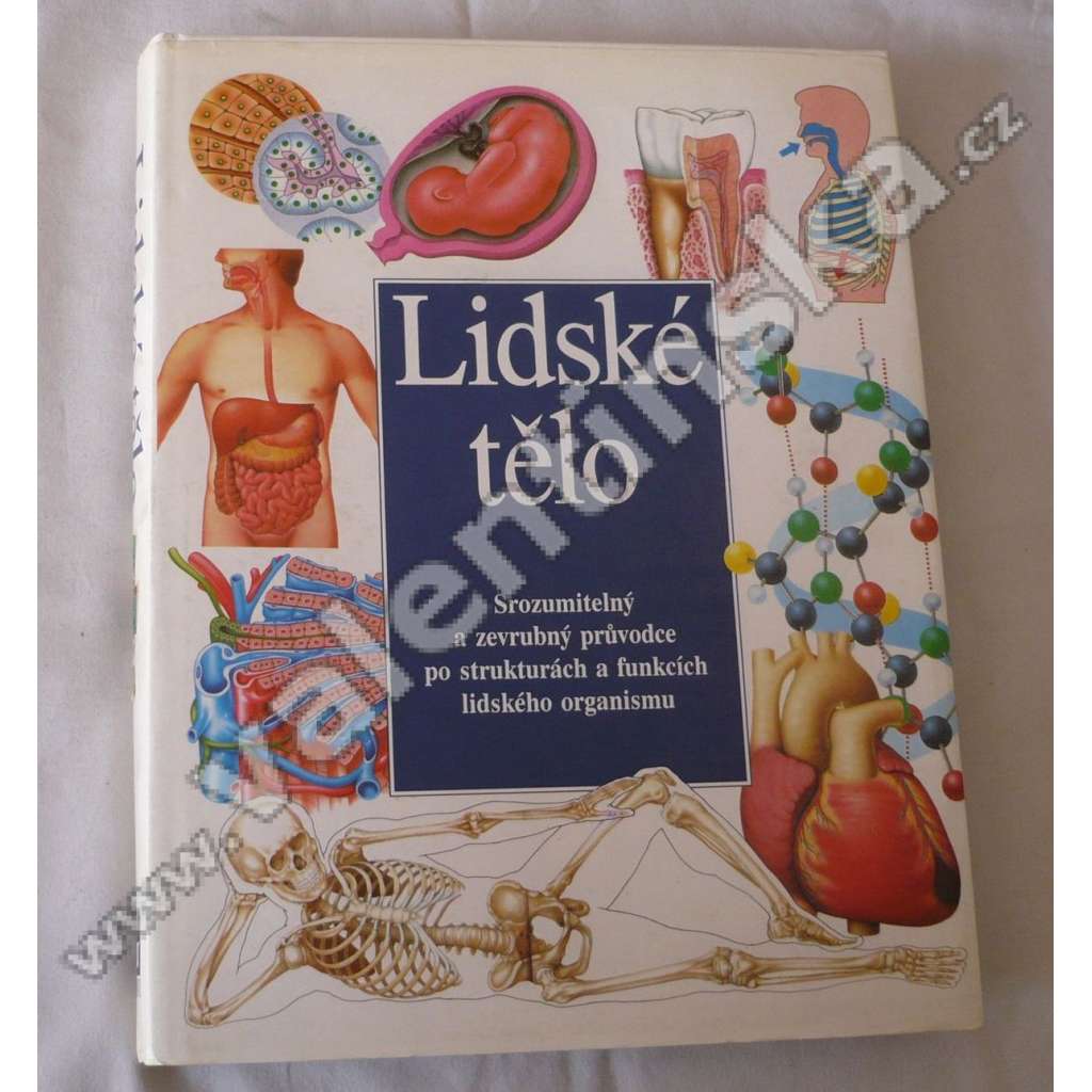 Lidské tělo [průvodce po strukturách a funkcích lidského organismu, anatomie pro děti; člověk]