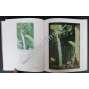Pierre Roy. Nantes, 1880 - Milan, 1950 HOL