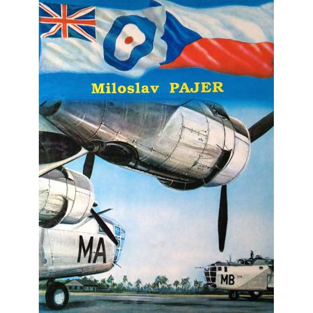 VE STÍNU SLÁVY (Bojový výcvik československých letců, příslušníků bombardovacích a dopravních jednotek RAF, ve Velké Británii v letech 1940 - 1946; letci, piloti, letectvo, 2. světová válka)