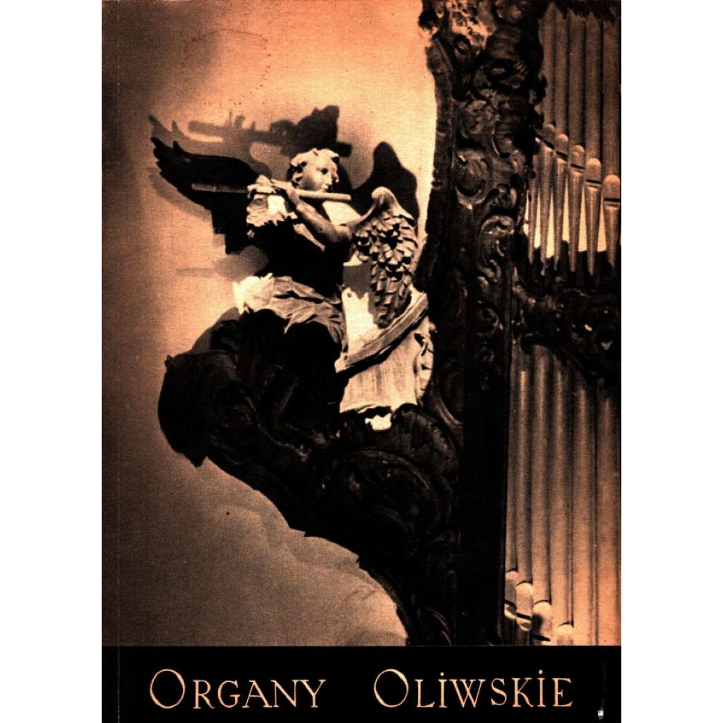 Organy Oliwskie (edice: Biblioteka Gdaňska, sv. 5) [varhany, Gdaňsk, historie, fotografie]