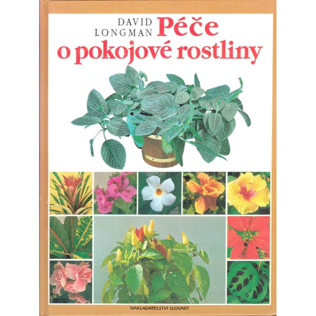 Péče o pokojové rostliny (příroda, pěstování, květiny, design)