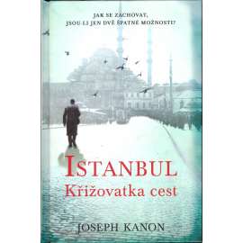 Istanbul. Křižovatka cest (román, politika, Turecko)