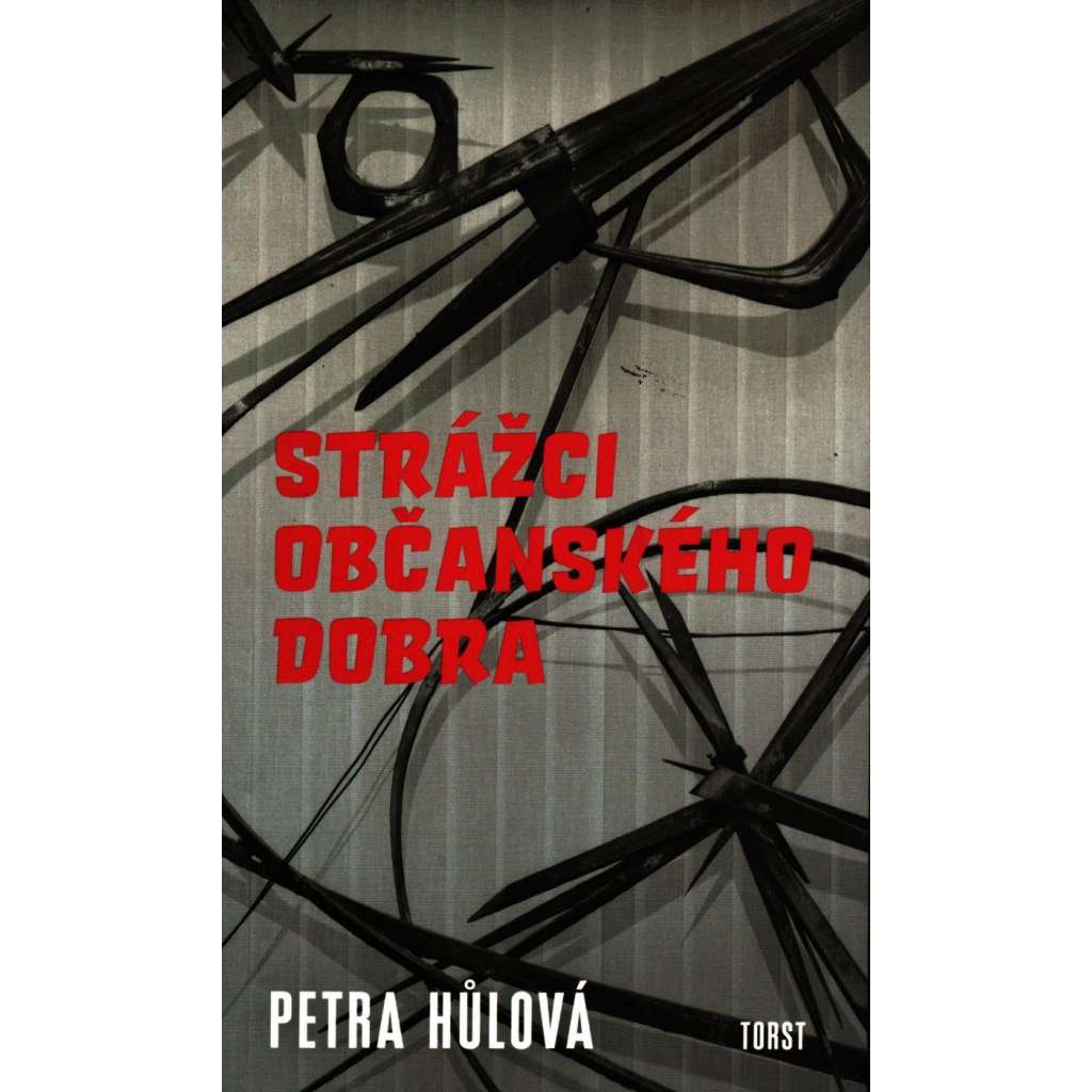 Strážci občanského dobra (román)