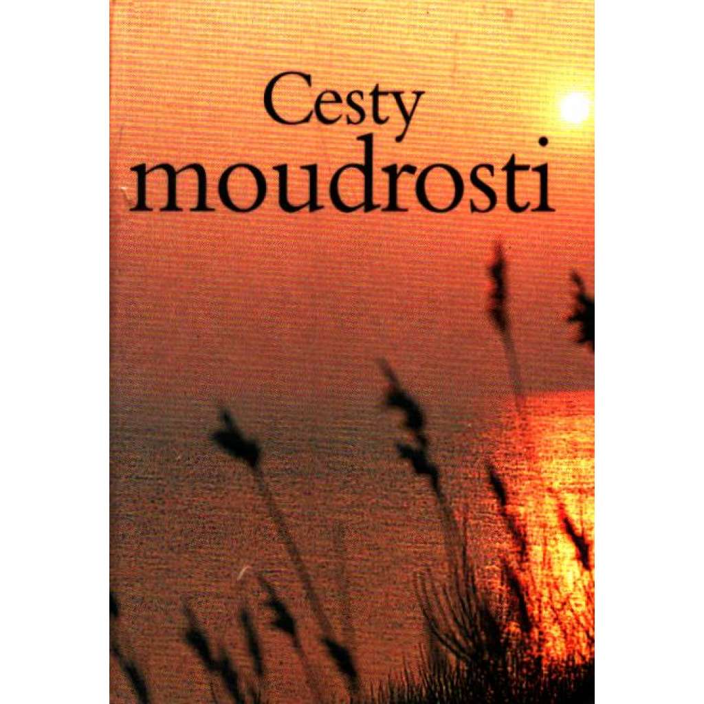 Cesty moudrosti (kolibřík)