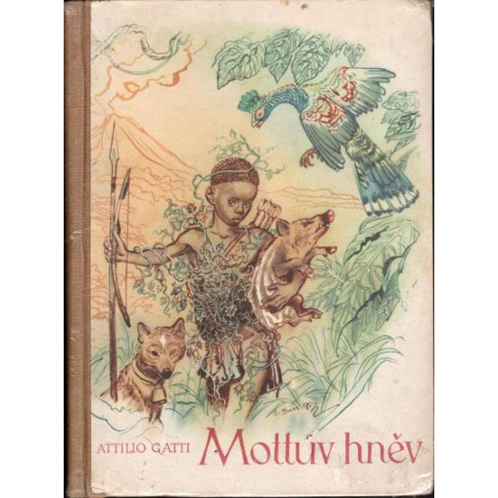 Mottův hněv (román, Afrika, Ilustrace Zdeněk Burian)
