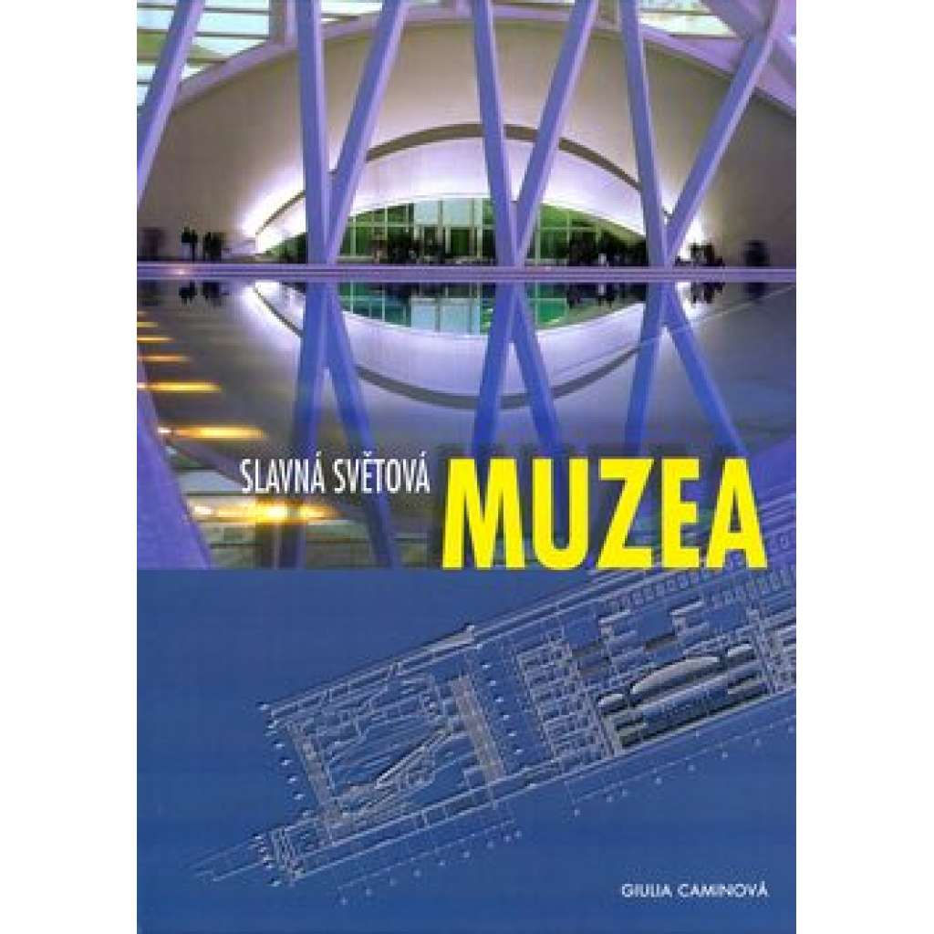 Slavná světová muzea (umění, mj. i Louvre, Ermitáž, Prado, Uffizi, aj.) HOL