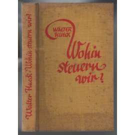 Wohin steuern wir? Eine Fibel für Zeitgenossen [filozofie]