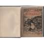 Die Kommunistische Internationale; Zweiter Jahrgang,  No. 15, 1921 [komunismus]