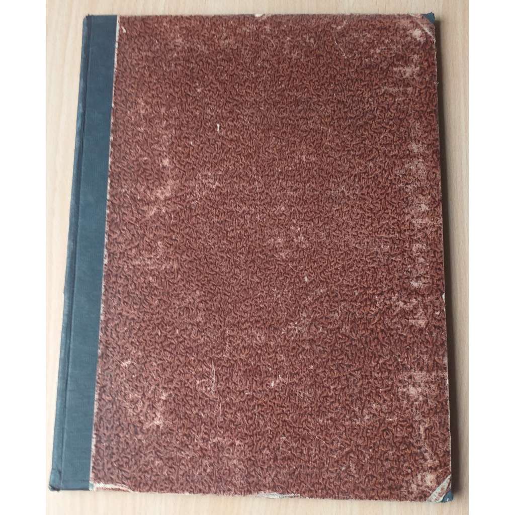 Der Jugendliche Arbeiter; 18. Jahrg. 1919 Nr. 1-4, 6-12 [Rakousko, mladí pracující]