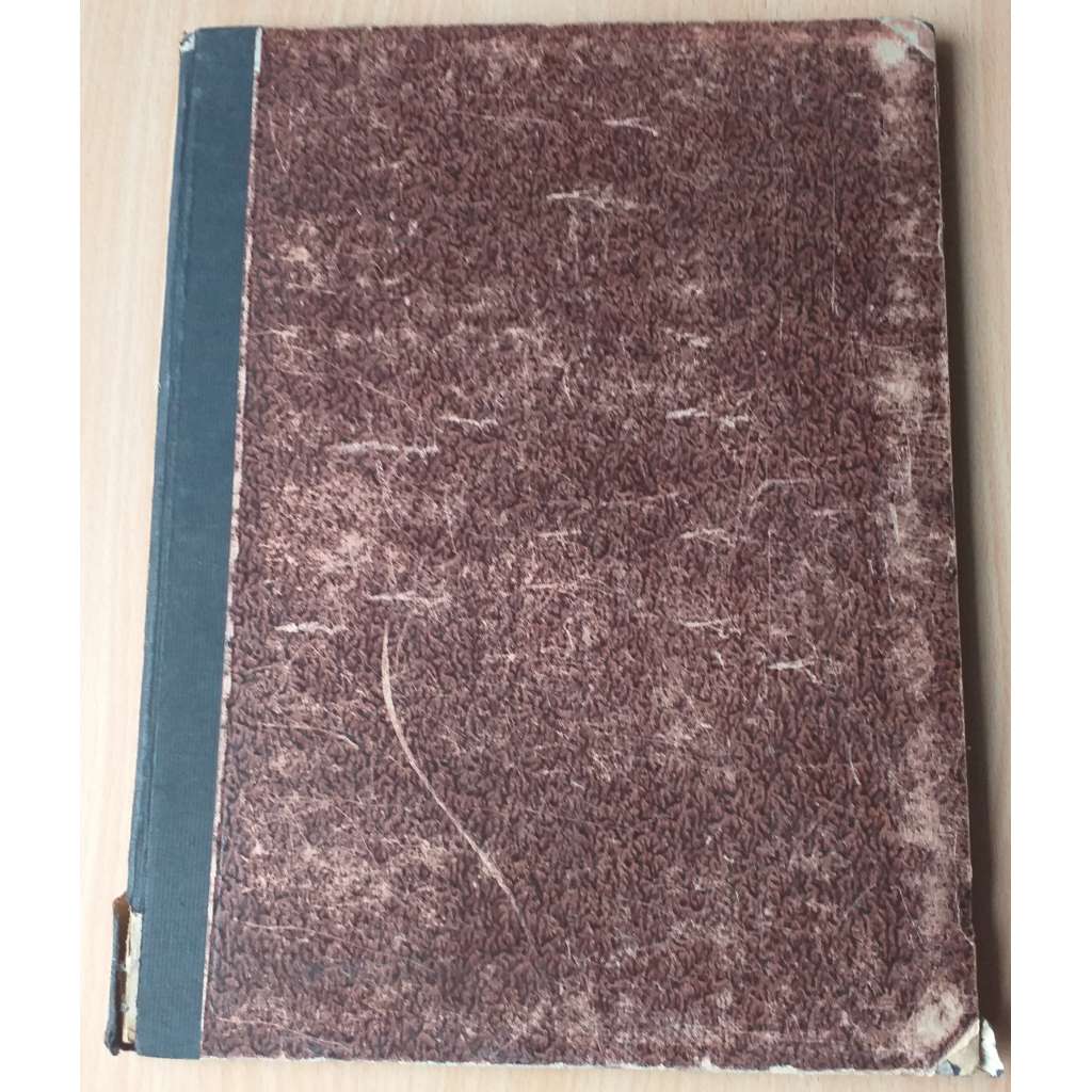 Der Jugendliche Arbeiter; 19. Jahrg. 1920 Nr. 1-12 [Rakousko, mladí pracující]