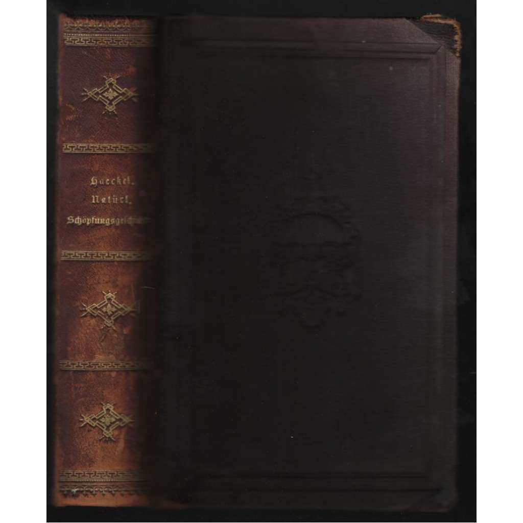 Schöpfungsgeschichte [evoluce]