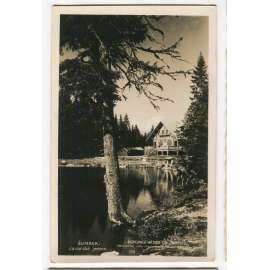 Javorské jezero, Bavorsko, Železná Ruda, Klatovy, Šumava