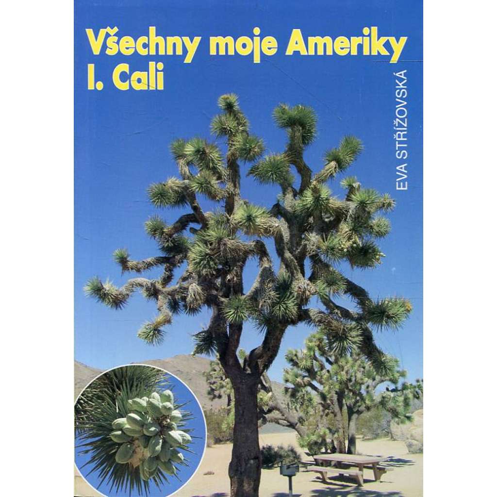 Všechny moje Ameriky: Cali