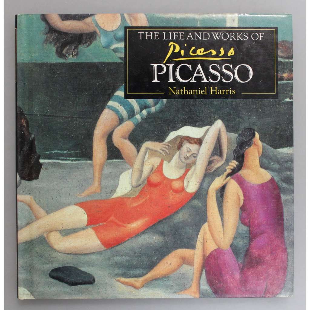 The Life and Works of Picasso (Pablo Picasso, malířství, kubismus)