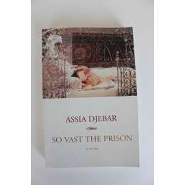 So Vast the Prison. A novel (Román)
