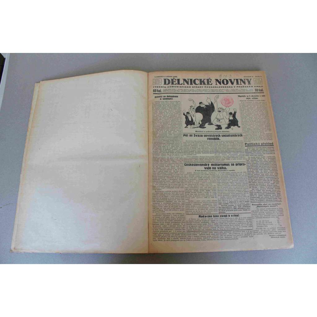 Dělnické noviny. Týdeník komunistické strany Československa v Pražském kraji 1928, roč. II. (politika, první republika, Praha, mj. Deset let Rudé armády, Z ochrany nájemníků  - ochrana bytové lichvy, 1 máj - Beroun, Benešov, Brandýs nad Labem)