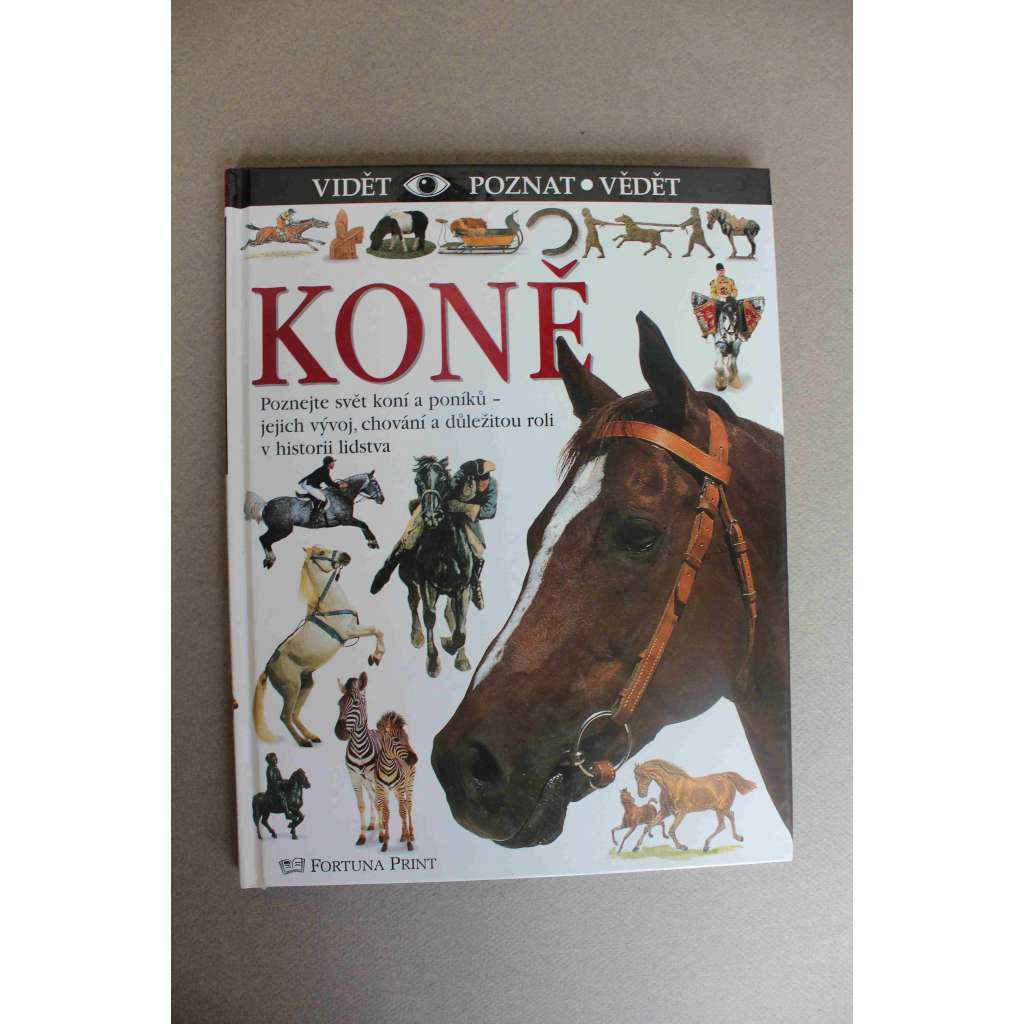 Koně (edice: Vidět - poznat - vědět) (chov zvířat, historie, kůň, osel, cestování, vojenství)