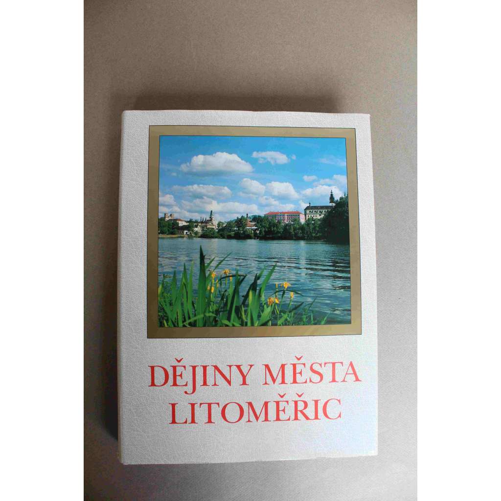 Dějiny města Litoměřic (Litoměřice, historické centrum, architektura, kulturní dějiny, sochařství)