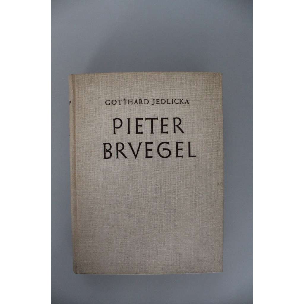 Pieter Bruegel. Der Maler in seiner Zeit (monografie, zaalpská renesance, malířství, krajinomalba)