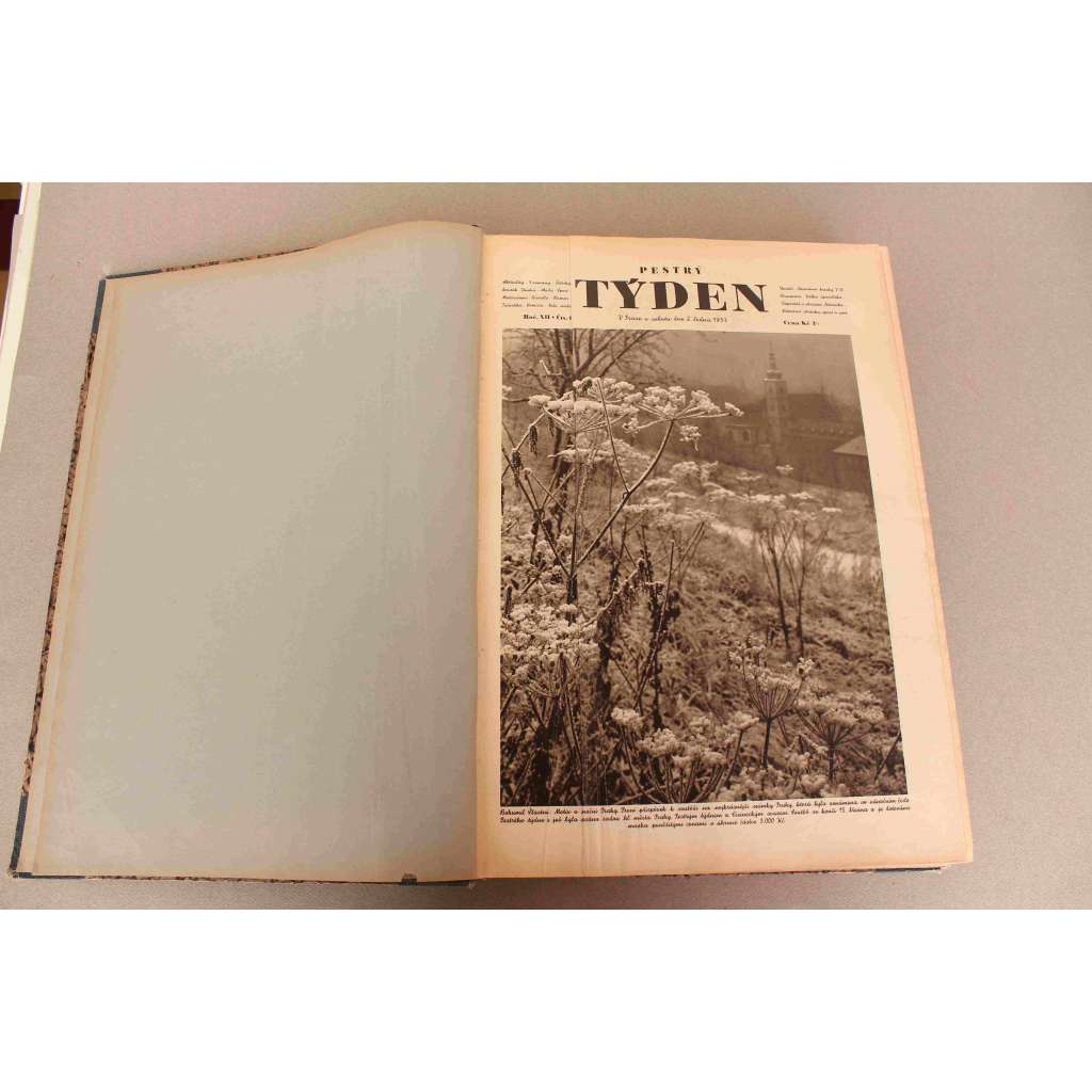 Pestrý týden 1937, roč XII (leden-prosinec) (časopis, týdeník, první republika, mj. Poslední dokumenty o zbrojení Německa, Móda, domácnost, zájmy žen, Naši spisovatelé ve svých zahrádkách [Čapek, Majerová, Kopta, F. Langer], Všesokolský slet 1938)